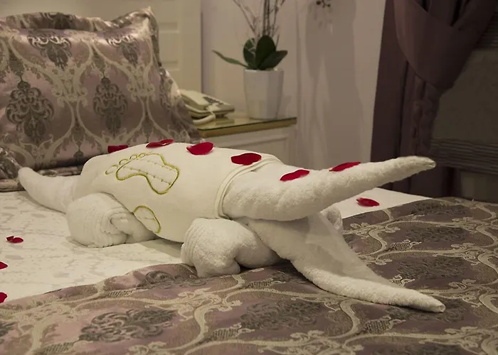 酒店 卡雅酒店 2*