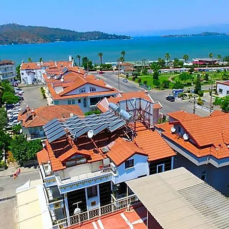Kayi